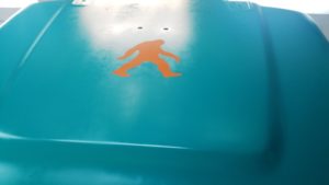 custom image auto paint logo decal Asheville (5)