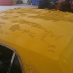 asheville paint stripping restoration